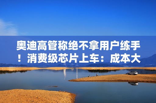 奥迪高管称绝不拿用户练手！消费级芯片上车：成本大降 无强制安全认证要求