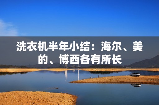 洗衣机半年小结：海尔、美的、博西各有所长