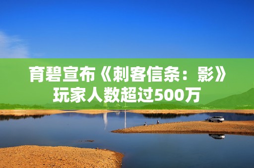 育碧宣布《刺客信条:影》玩家人数超过500万 育碧宣布《刺客信条:影》玩家人数超过500万