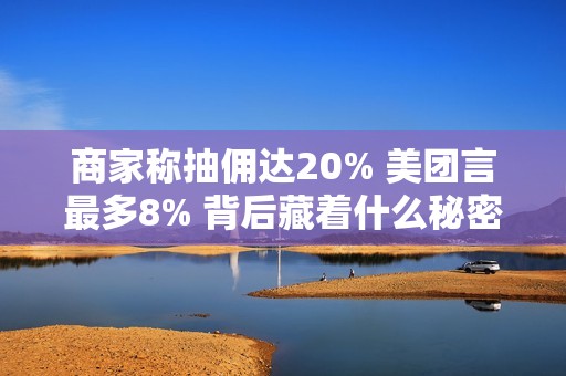 商家称抽佣达20% 美团言最多8% 背后藏着什么秘密 美团高管详解真相