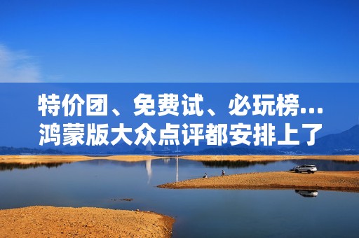 特价团、免费试、必玩榜…鸿蒙版大众点评都安排上了！