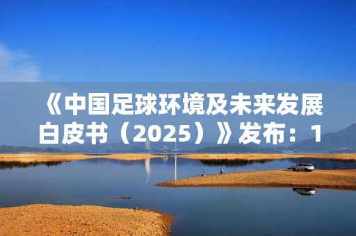 《中国足球环境及未来发展白皮书（2025）》发布：100吋大屏电视成标配