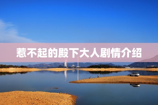 惹不起的殿下大人剧情介绍