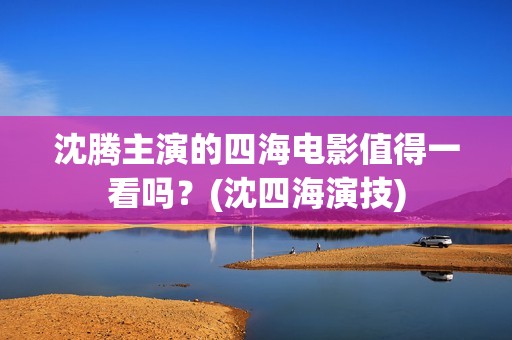 沈腾主演的四海电影值得一看吗？(沈四海演技)