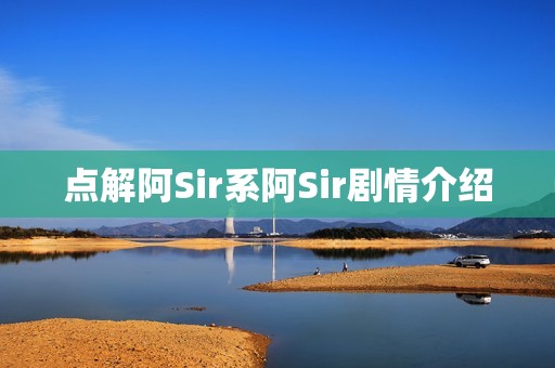 点解阿Sir系阿Sir剧情介绍