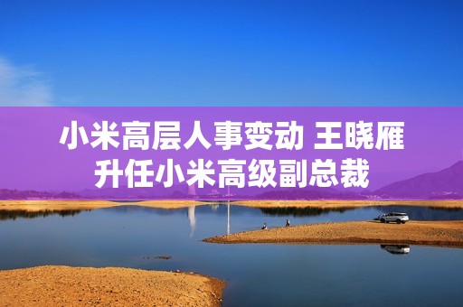 小米高层人事变动 王晓雁升任小米高级副总裁