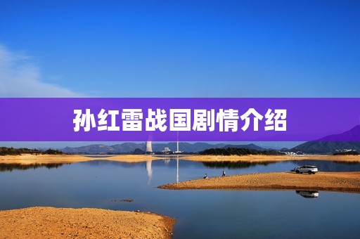 孙红雷战国剧情介绍