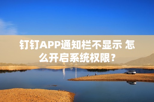 钉钉APP通知栏不显示 怎么开启系统权限？