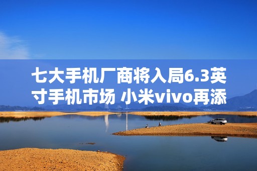 七大手机厂商将入局6.3英寸手机市场 小米vivo再添劲敌