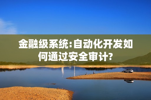 金融级系统:自动化开发如何通过安全审计?