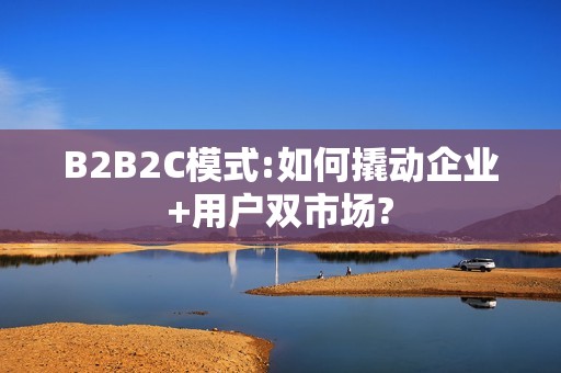 B2B2C模式:如何撬动企业+用户双市场?