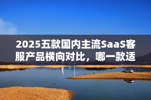 2025五款国内主流SaaS客服产品横向对比，哪一款适合您？