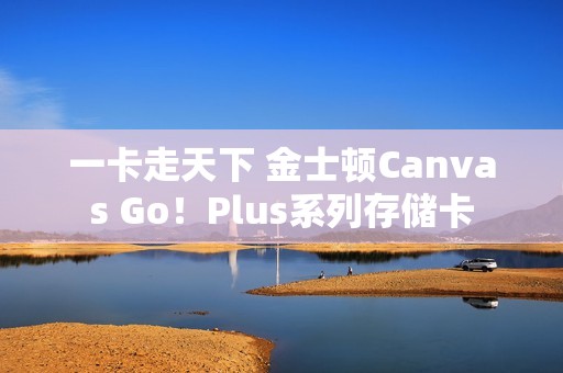 一卡走天下 金士顿Canvas Go！Plus系列存储卡