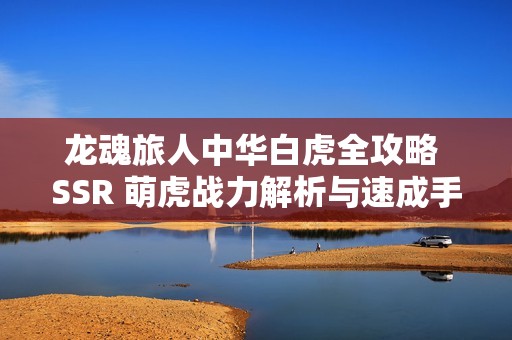 龙魂旅人中华白虎全攻略 SSR 萌虎战力解析与速成手册