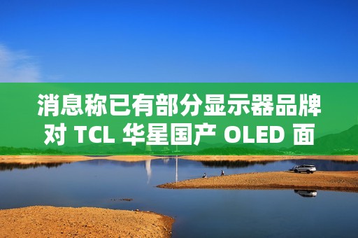 消息称已有部分显示器品牌对 TCL 华星国产 OLED 面板展开样机测试