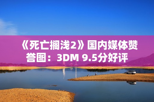 《死亡搁浅2》国内媒体赞誉图：3DM 9.5分好评