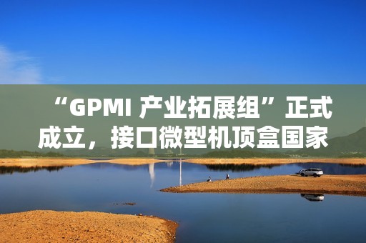 “GPMI 产业拓展组”正式成立，接口微型机顶盒国家标准列入计划等七项成果发布