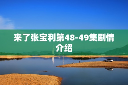 来了张宝利第48-49集剧情介绍