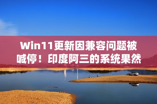 Win11更新因兼容问题被喊停！印度阿三的系统果然不行