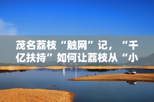 茂名荔枝“触网”记，“千亿扶持”如何让荔枝从“小特产”到“大生意”