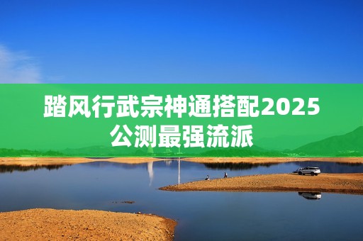 踏风行武宗神通搭配2025公测最强流派