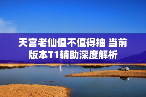 天宫老仙值不值得抽 当前版本T1辅助深度解析
