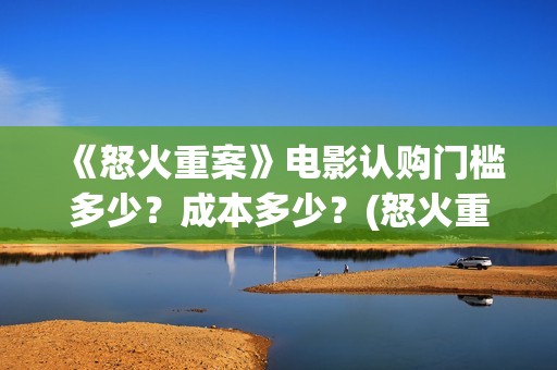 《怒火重案》电影认购门槛多少？成本多少？(怒火重案 完整版)