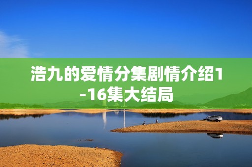 浩九的爱情分集剧情介绍1-16集大结局