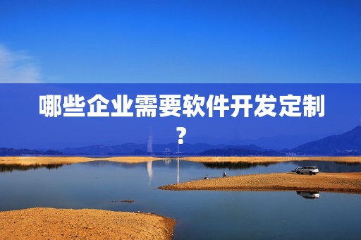 哪些企业需要软件开发定制?