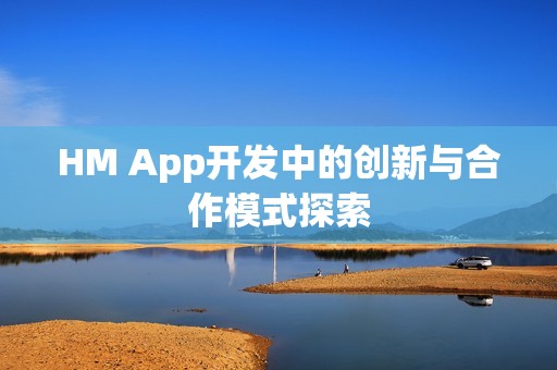 HM App开发中的创新与合作模式探索