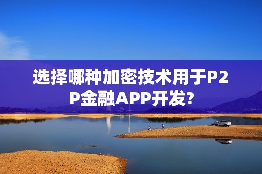 选择哪种加密技术用于P2P金融APP开发?