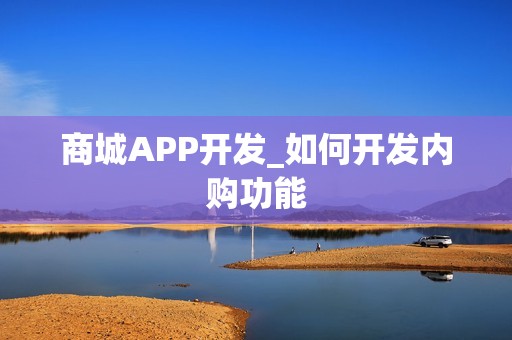 商城APP开发_如何开发内购功能
