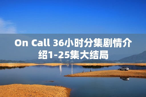 On Call 36小时分集剧情介绍1-25集大结局