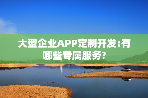大型企业APP定制开发:有哪些专属服务?