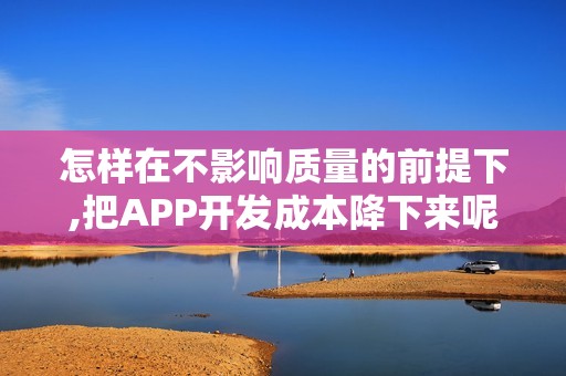 怎样在不影响质量的前提下,把APP开发成本降下来呢?