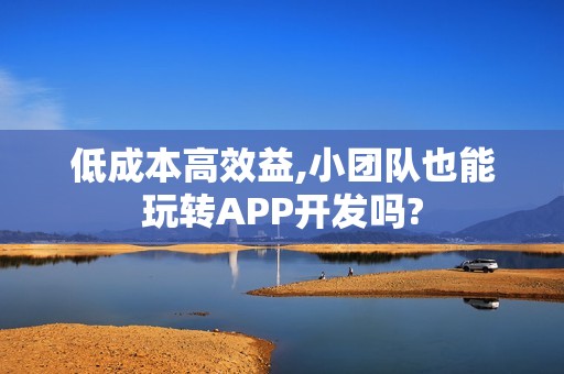 低成本高效益,小团队也能玩转APP开发吗?