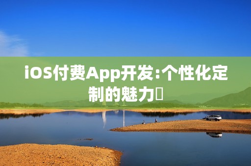 iOS付费App开发:个性化定制的魅力‌
