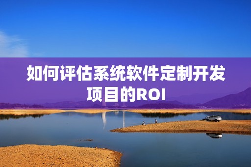 如何评估系统软件定制开发项目的ROI