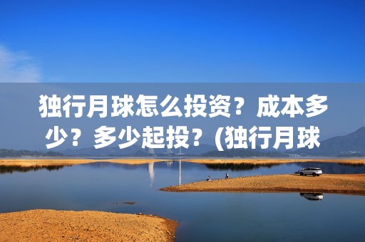 独行月球怎么投资？成本多少？多少起投？(独行月球改编)