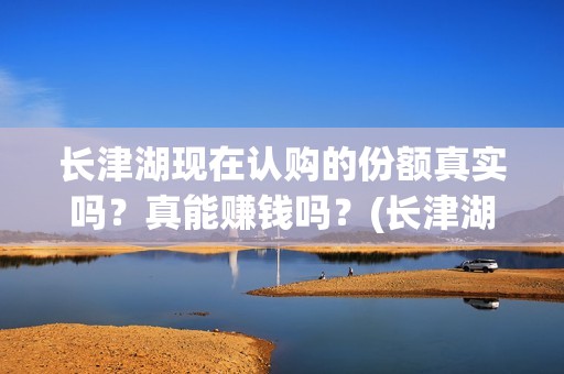 长津湖现在认购的份额真实吗？真能赚钱吗？(长津湖值得投资吗)