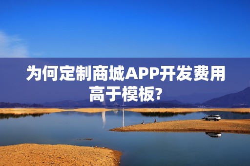为何定制商城APP开发费用高于模板?