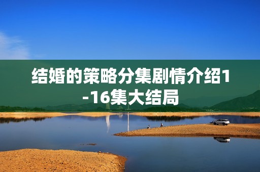 结婚的策略分集剧情介绍1-16集大结局