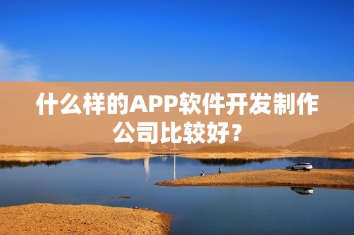 什么样的APP软件开发制作公司比较好？