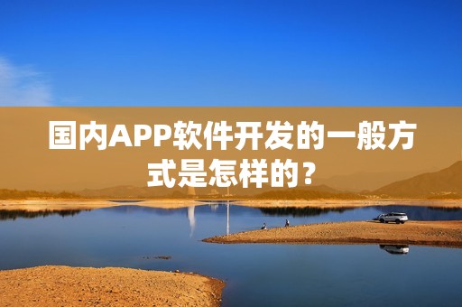 国内APP软件开发的一般方式是怎样的？