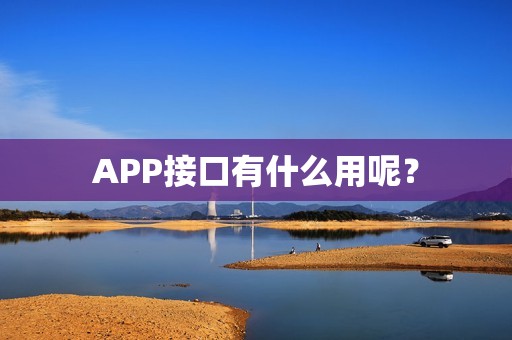APP接口有什么用呢？