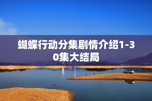 蝴蝶行动分集剧情介绍1-30集大结局