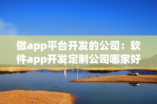做app平台开发的公司：软件app开发定制公司哪家好？