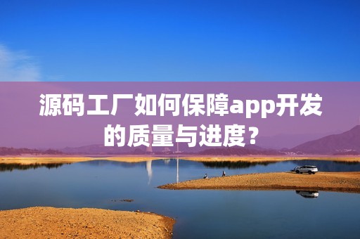 源码工厂如何保障app开发的质量与进度？