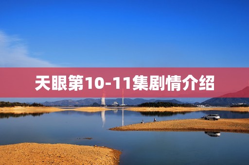 天眼第10-11集剧情介绍