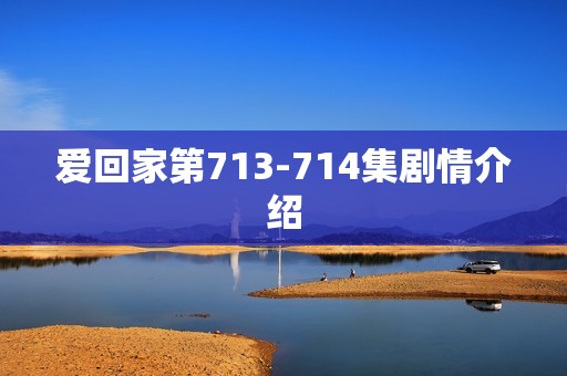 爱回家第713-714集剧情介绍